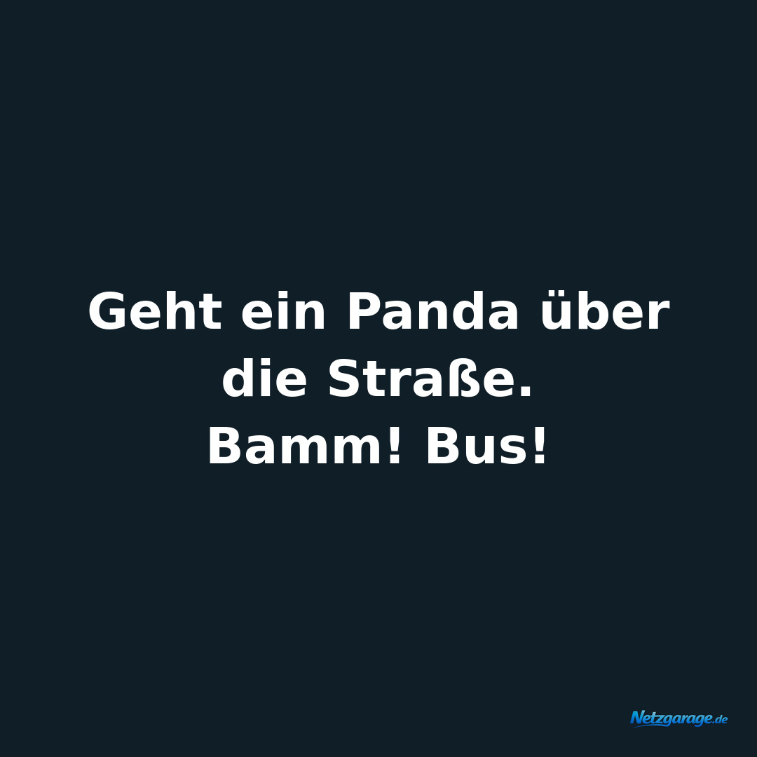 Geht ein Panda über die Straße. 
Bamm! Bus!