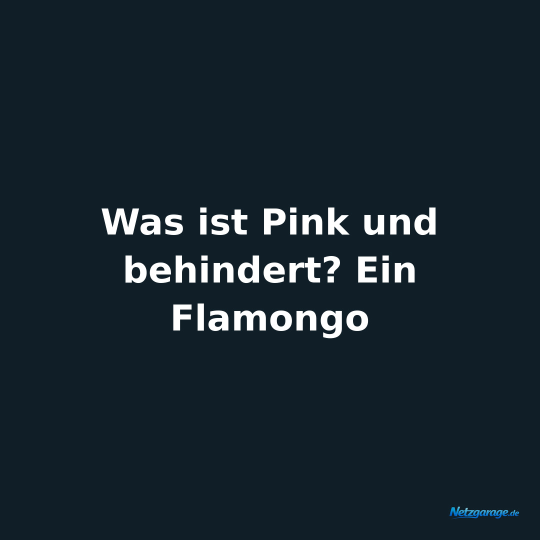 Was ist Pink und behindert? Ein Flamongo