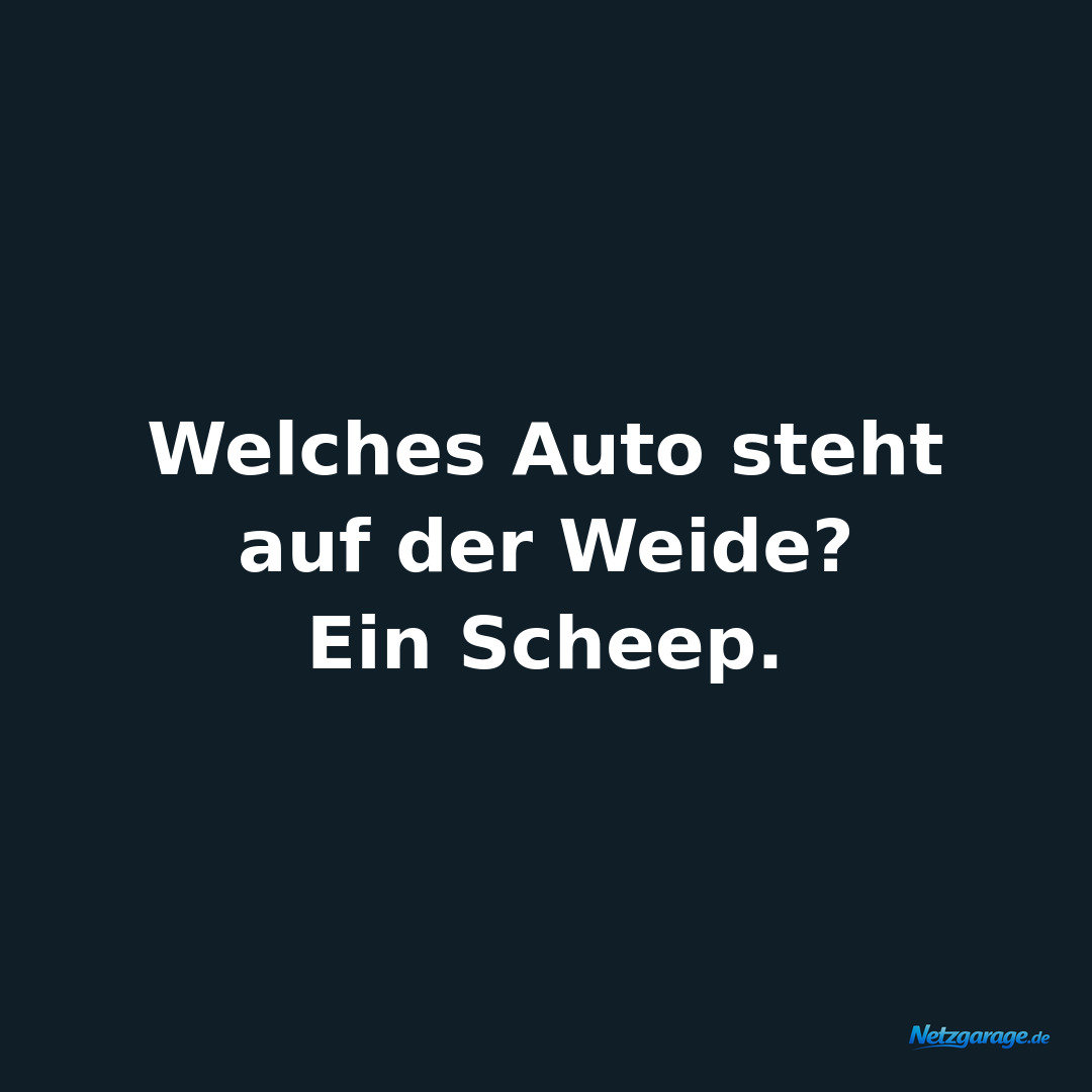 Welches Auto steht auf der Weide?
Ein Scheep.