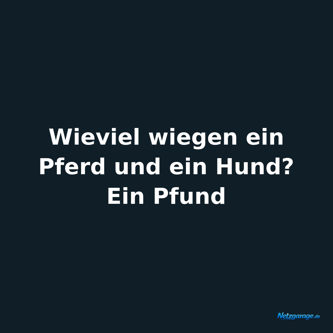 Wieviel wiegen ein Pferd und ein Hund? Ein Pfund