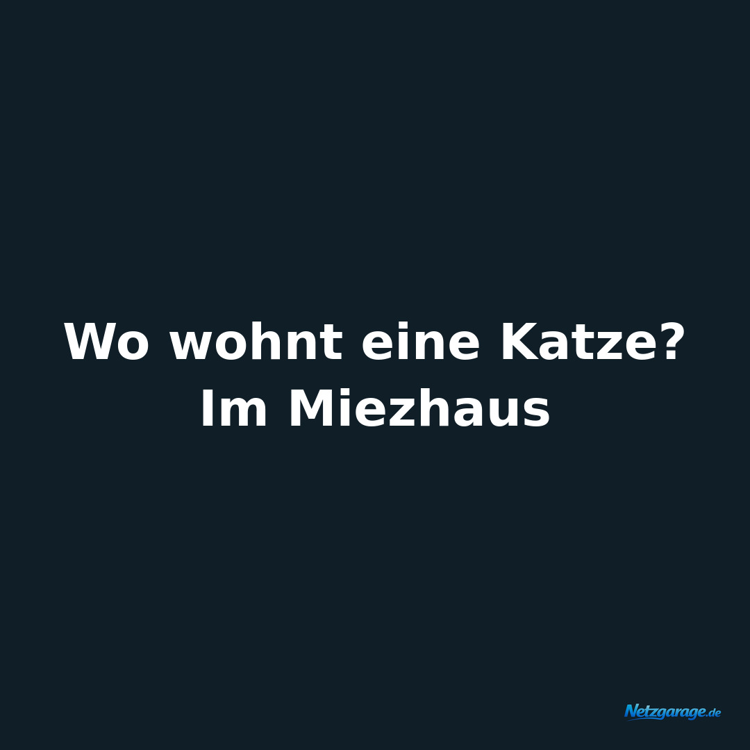 Wo wohnt eine Katze?

Im Miezhaus